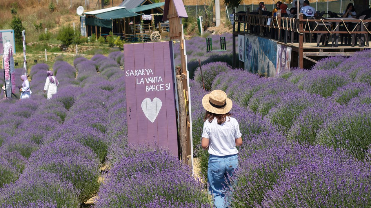 Türkiye Kültür Yolu Festivali Sakarya'da başlıyor